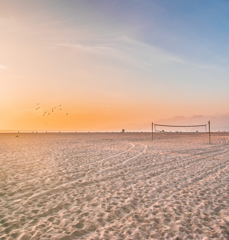 post, flock of birds, tranquility, no people, nature, tranquil scene, beauty in nature, flying, photo, vertebrate, sea, scenics - nature, sands, animal