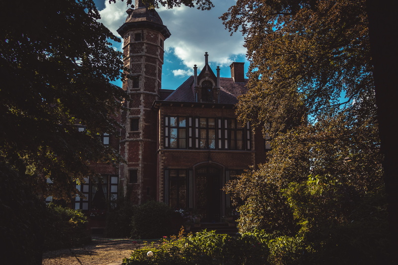 glass, clouds, growth, nature, belgium, no people, old, window, history, architecture, 5K, building, leaves, low angle view, the past, reflection, sunlight