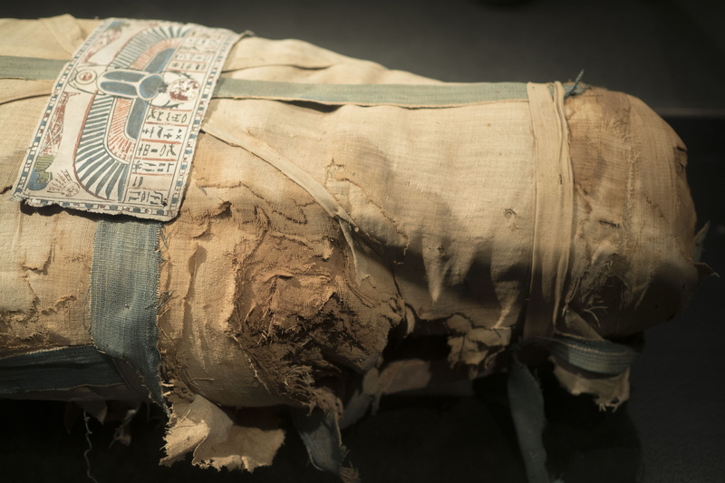 no people, nature, close-up, clothing, focus on foreground, sack, ancient, side view, one animal, egypt, old, day, torn, mummy, 4K, indoors, mammal, animal body part
