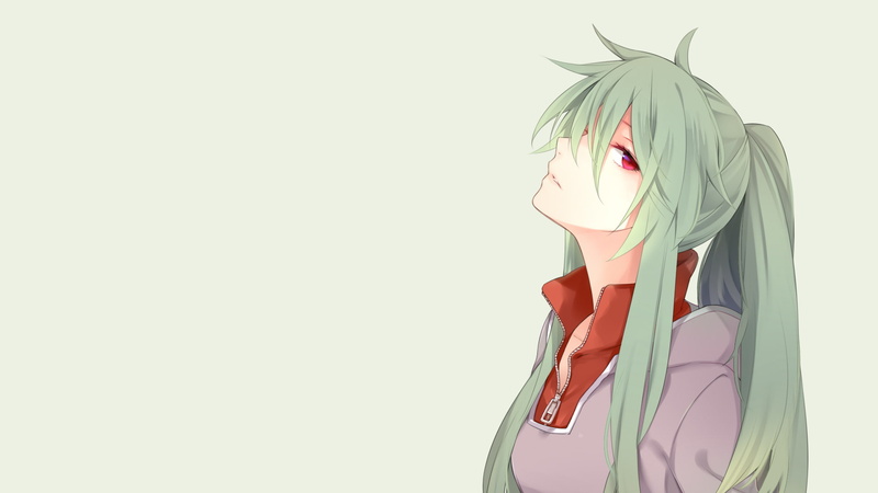 obscured face, studio shot, women, standing, long hair, anime girls, copy space, ponytail, young adult, hairstyle, red, casual clothing, Kagerou Project