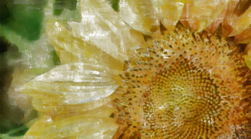 marine, water, extreme close-up, citrus fruit, flower, dap, sea, backgrounds, food and drink, tempera, indoors, Yellow, slice, fruit, Sunflower