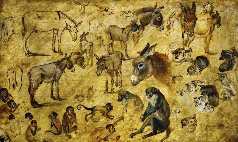 Sketches Of Animals, Jan Brueghel the elder, 2K, animals, picture
