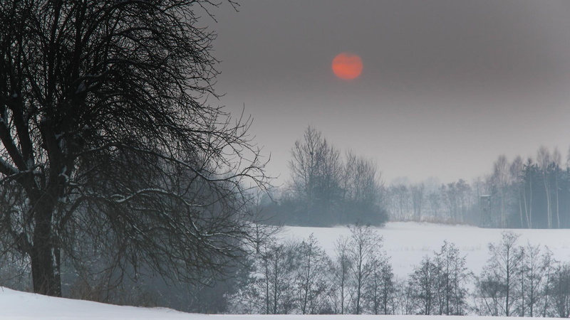morning, nature and landscapes, quiet, 1080P, winter, cold, 2012, picture
