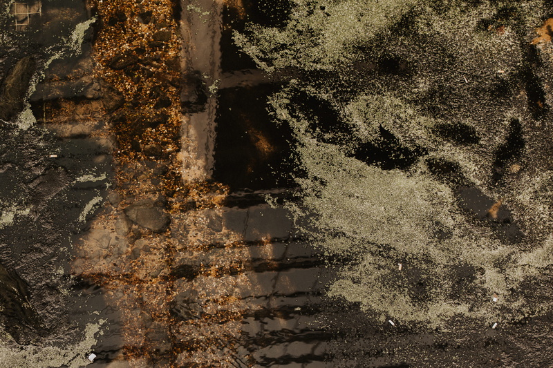 flagstone, apparel, reflection, plant, aerial view, asphalt, light, 2K, backgrounds, close-up, full frame, scenery, architecture, nature, ice, weathered