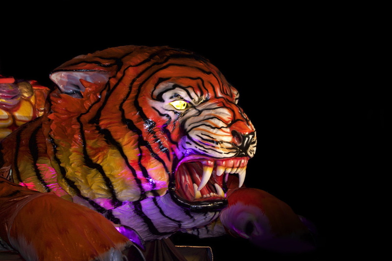 mouth open, no people, indoors, animal, multi colored, animal body part, one animal, animal wildlife, allegory, art and craft, studio shot, animal head