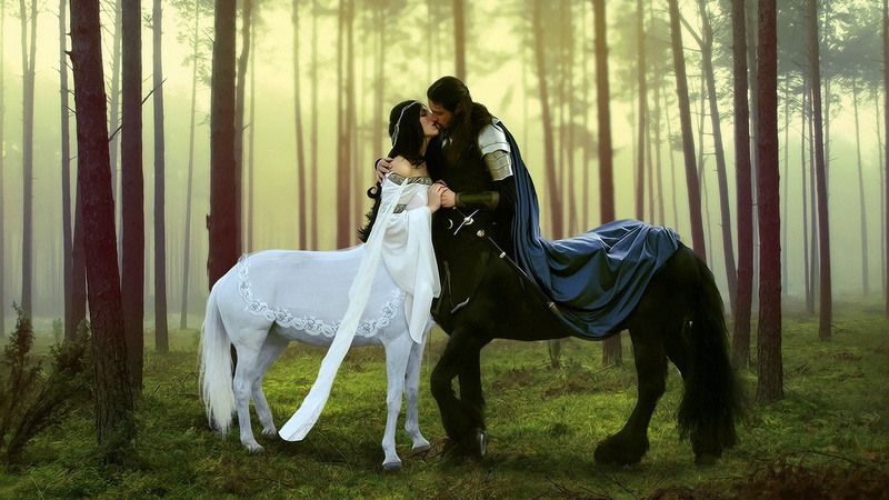 romance, 1080P, males, digital, love, emotion, fantasy, babes, centuar, Woods, mood, weapons, men, females, sword, women, forest, manipulation, Trees