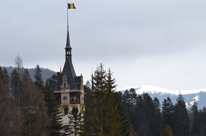 plant, castle, spire, 4K, old, landscape, peles, scenics - nature, tree, snow, nature, building exterior, religion, outdoors, winter, cold temperature