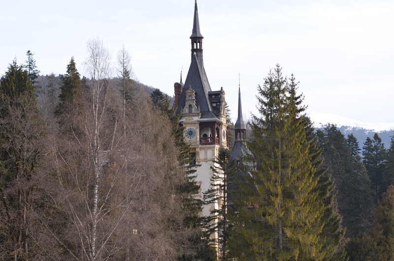 architecture, growth, belief, castle, building, tower, sky, royal, spire, building exterior, place of worship, tree, outdoors, sinaia, 4K, day, religion
