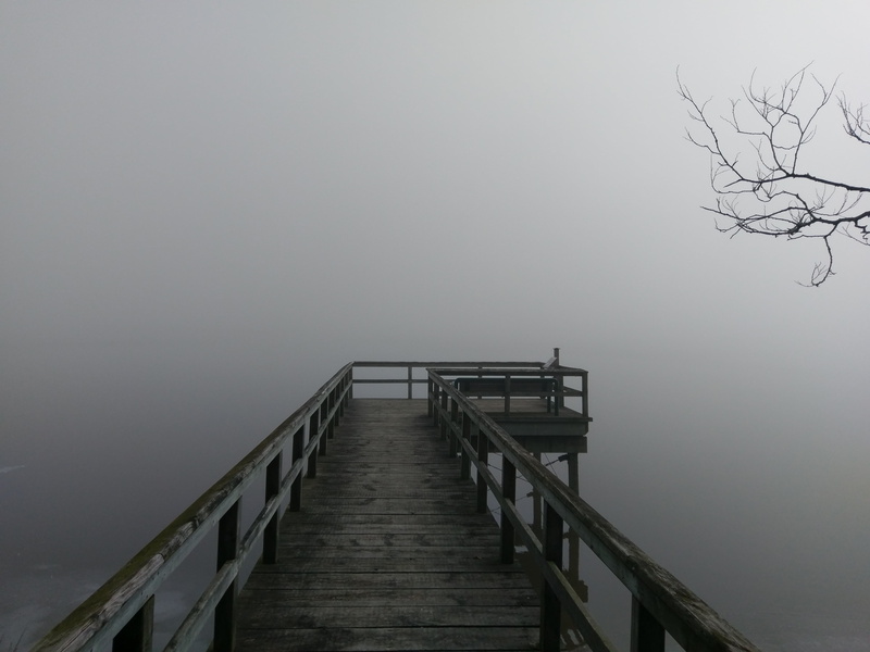 nature, pelee, Its hard, point, waterfowl, outdoors, wood - Material, this morning, wooden, Point Pelee, ponds, fog, sea, 4K, dock, wetlands, brown