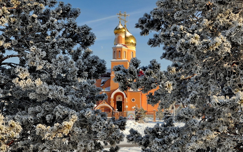 church, history, city, kiev, temple, old, russia, religion, gold, building, spirituality, gold Colored, tree, white, famous Place, town, 2K, christianity