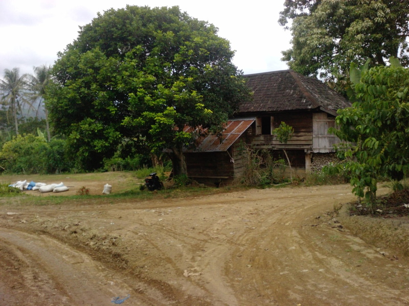 2K, guguk, sumatera, saputra, south, house, heri, nature and landscapes, putra