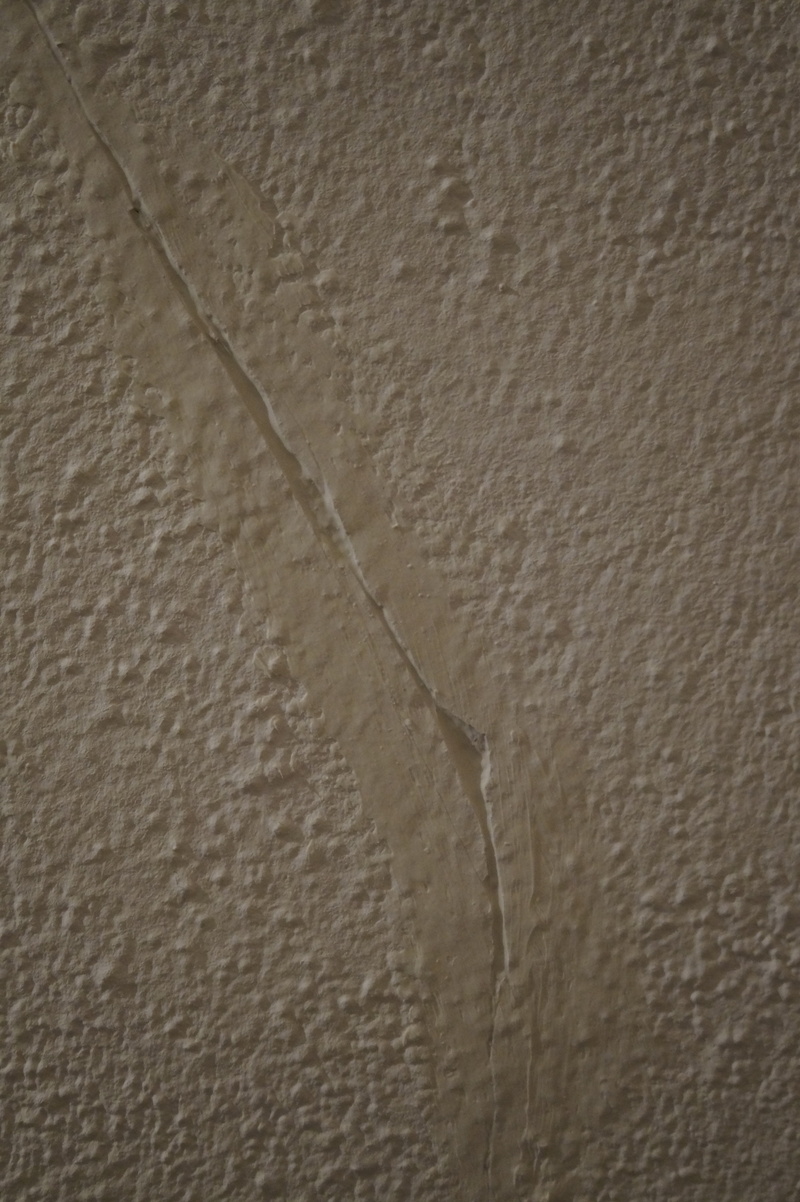 animal body part, wall, repair, full frame, plaster, animal themes, vertebrate, no people, animal, nature, renovation, pattern, animal wildlife, leather