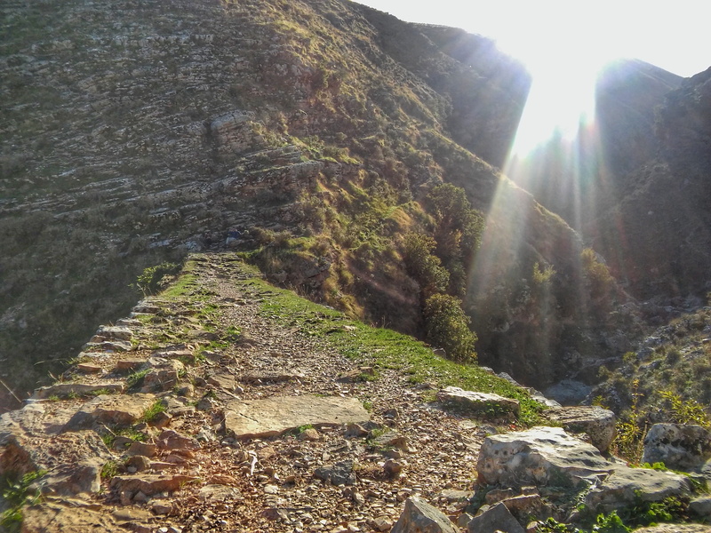 non-urban scene, day, no people, sunlight, gjirokaster, sunbeam, beauty in nature, outdoors, formation, 2K, rock - object, tranquility, gjirokastra, plant