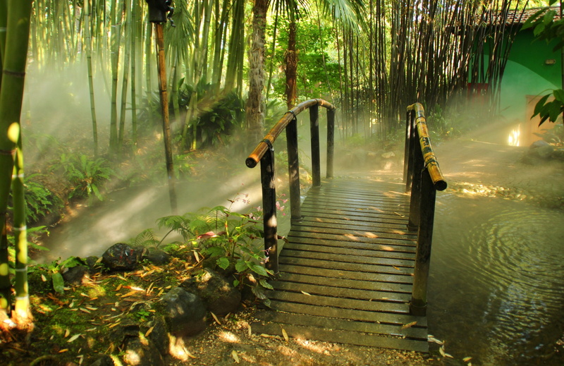 lombardia, italy, 2K, park, bridge, bamboo