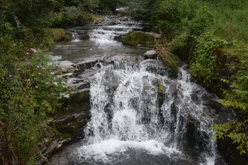 nature, scenics, flowing water, Italy, outdoors, blurred motion, no people, tree, rock, scenics - nature, long exposure, 5K, rock - object, forest, growth