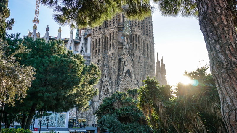 church building, daylight, tropical climate, building exterior, tree, built structure, ancient, cathedral, city, day, culture, milan, plant, outdoors, famous