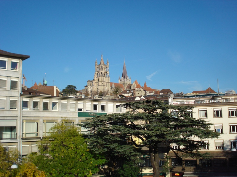 travel destinations, low angle view, spirituality, plant, outdoors, building exterior, cathedral, built structure, switzerland, clear sky, religion, spire