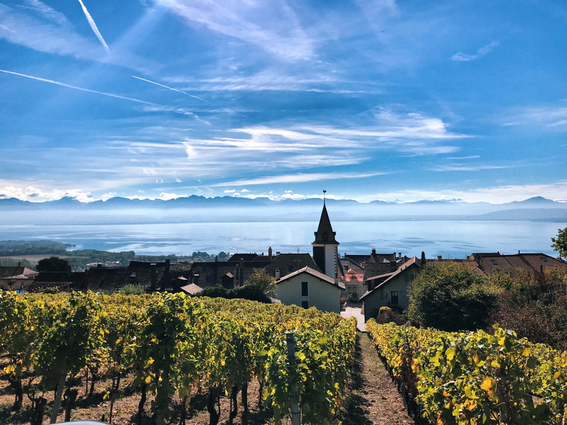 wine, vine, landscape, vaud, winemaking, sky, grapes, place of worship, church, vineyard, plant, lake geneva, switzerland, built structure, tree, building