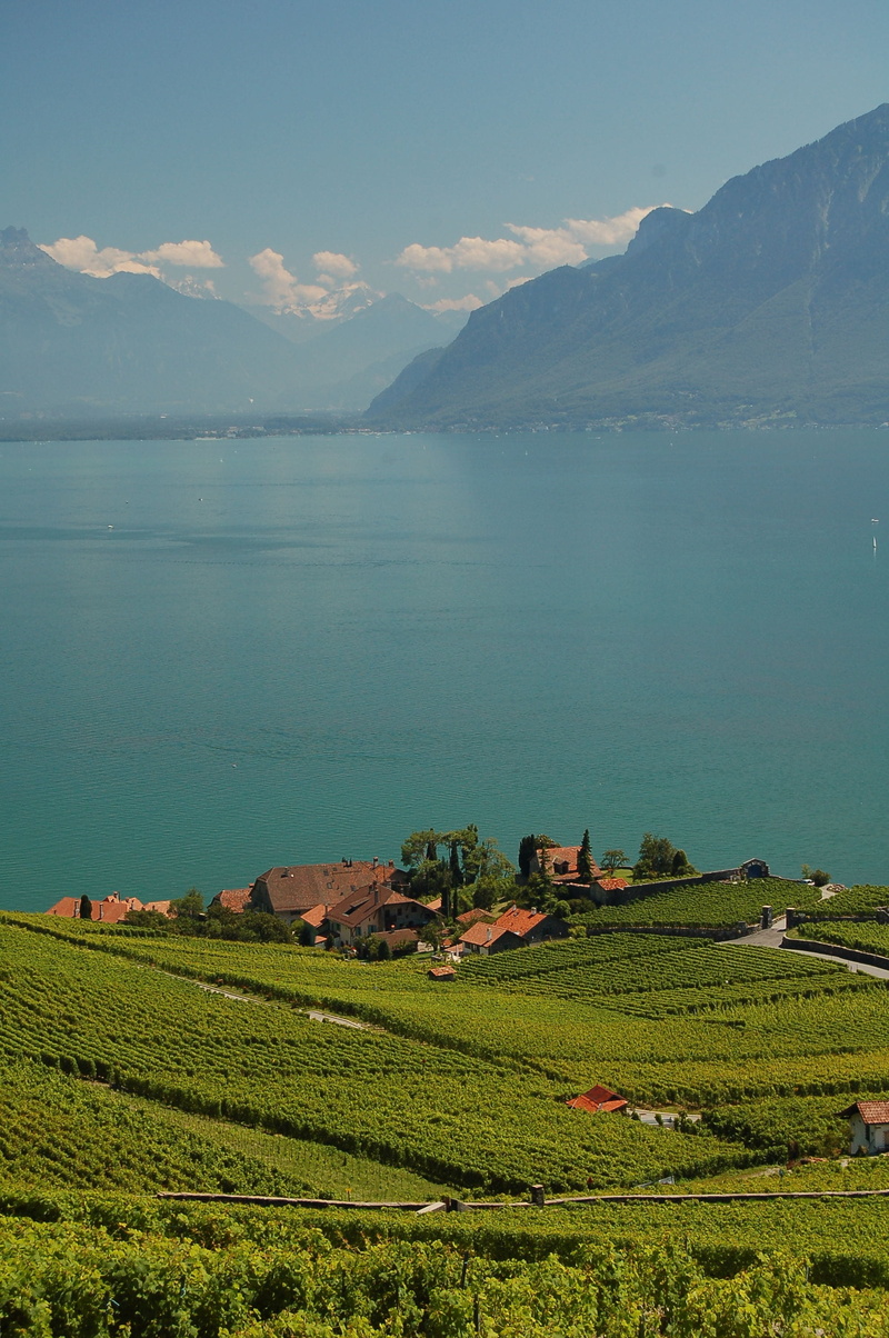 growth, switzerland, scenics - nature, no people, field, outdoors, mountain, land, mountain range, sea, landscape, rural scene, water, tranquil scene, lac
