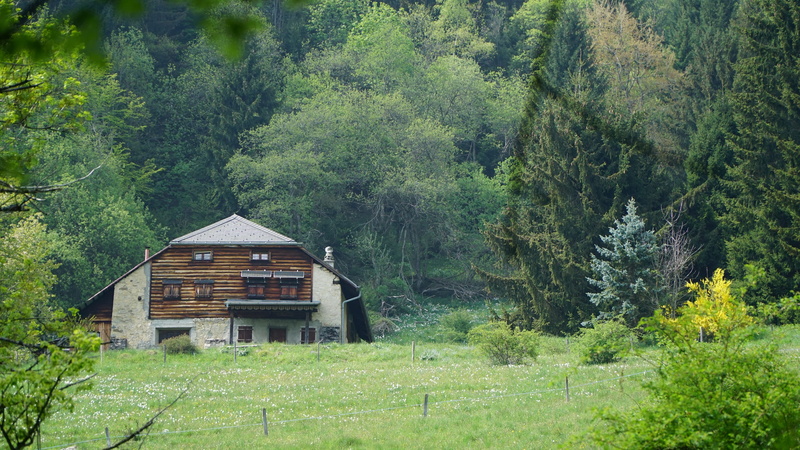 alpine hut, cottage, 5K, landscape, beauty in nature, mountain hut, avants, architecture, summer, building exterior, alp, mountains, alm hut, forest, tranquil scene