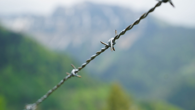 wire, boundary, sharp, sign, vaud, switzerland, security, no people, barrier, fence, metal, dangerous, close-up, day, safety, protection, barbed wire, exclusion