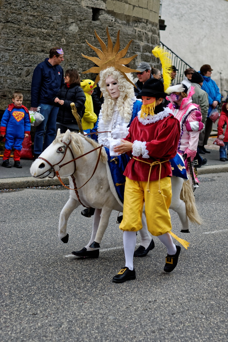 road, 2K, domestic, group of people, outdoors, livestock, real people, people, men, human, city, costume, mammal, full length, switzerland, yverdon, pets