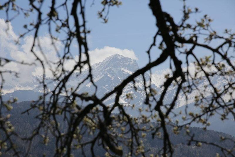 mountain view, mountain, flare, focus on foreground, mountain range, beauty in nature, no people, sky, nature, growth, mountain peak, day, huemoz, scenics - nature