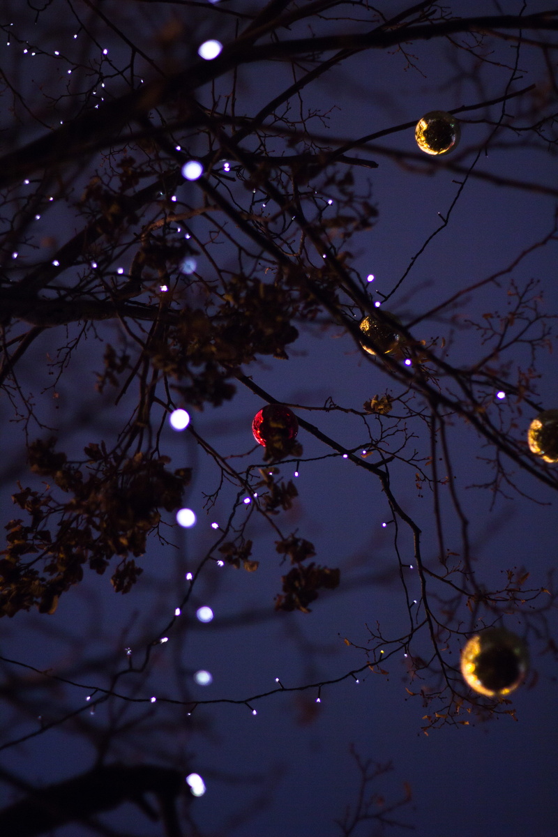 night, moon, moscow, low angle view, new year, holiday, growth, firefiles, moskva, christmas lights, dusk, russia, lighting equipment, garland, tree, beauty in nature