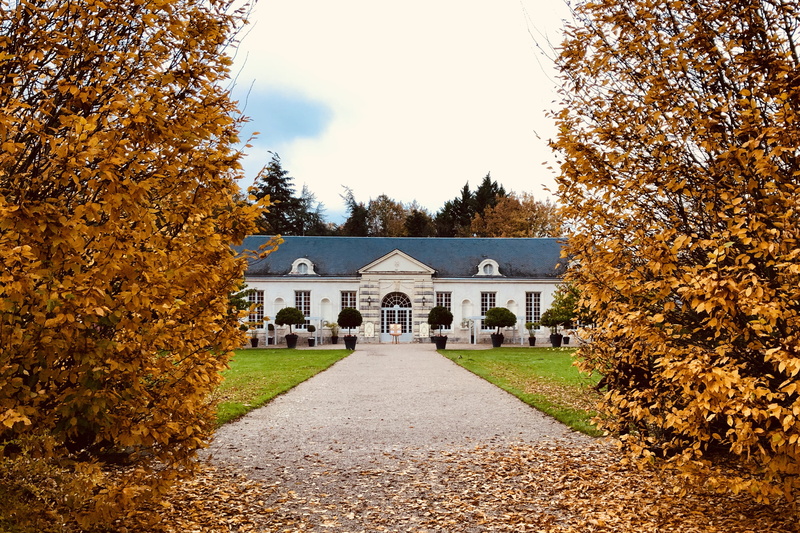 fir, plant part, building exterior, trees, change, ground, concrete, campus, tarmac, france, 2K, autumn, lawn, tree, outdoors, house, sky, road, loire valley