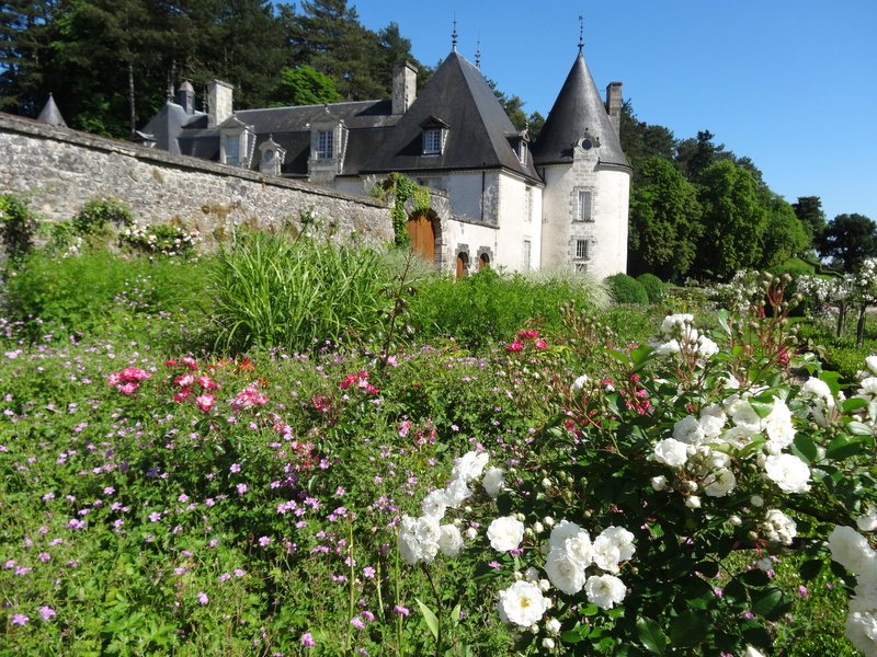 field, building, tree, flowering plant, no people, nature, loire valley, religion, beauty in nature, flower, house, architecture, castle, 4K, land, place of worship
