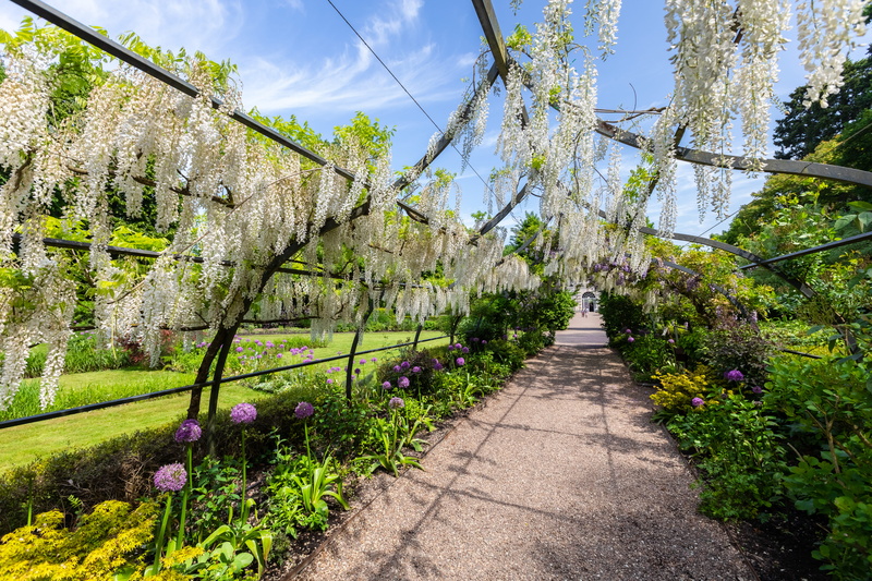 beauty in nature, tranquility, green color, loire chateaux, tree, castle, springtime, growth, nature, sunlight, day, direction, château de cheverny, orangerie