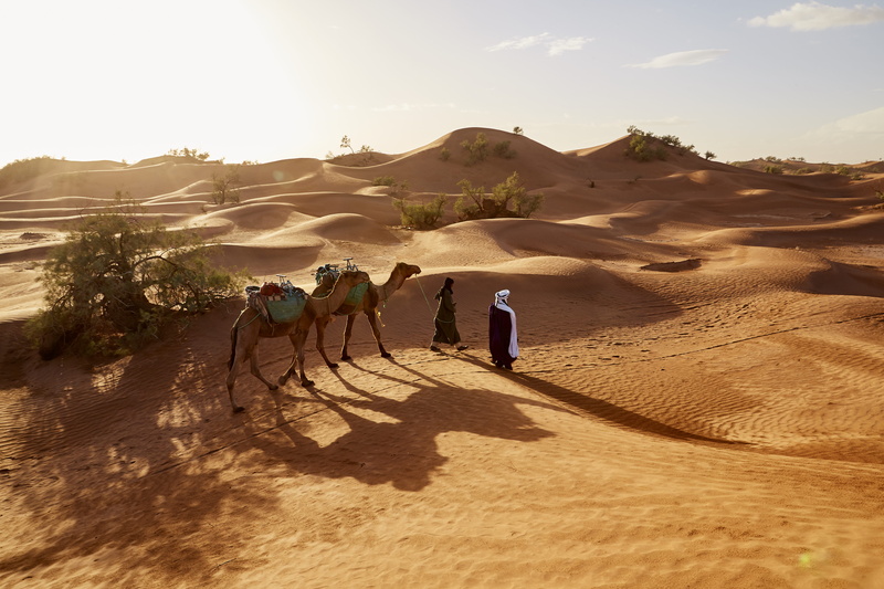 arid climate, land, men, remote, adult, shadow, scenics - nature, camels, people, landscape, sand, near, 5K, sunlight, camel, climate, standing, nature