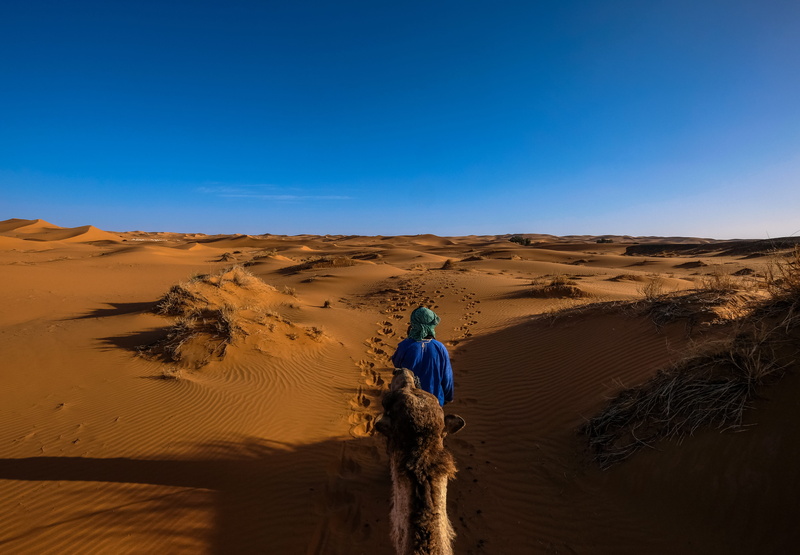 hot, sand, blue, jacket, one person, tranquility, scenics - nature, outdoors, riding, wearing, freedom, man, dune, 5K, arid climate, alone, climate, dry