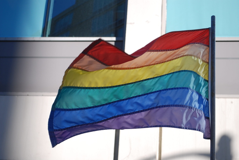 patriotism, emotion, symbol, nature, built structure, architecture, lgbt, tolerance, wind, outdoors, low angle view, no people, dom, environment, pole