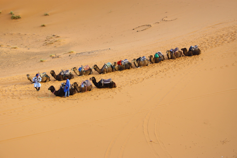 dessert, crowd, day, camels, real people, caravan, sitting, men, sand, walking, large group of people, path, arid climate, desert, climate, high angle view