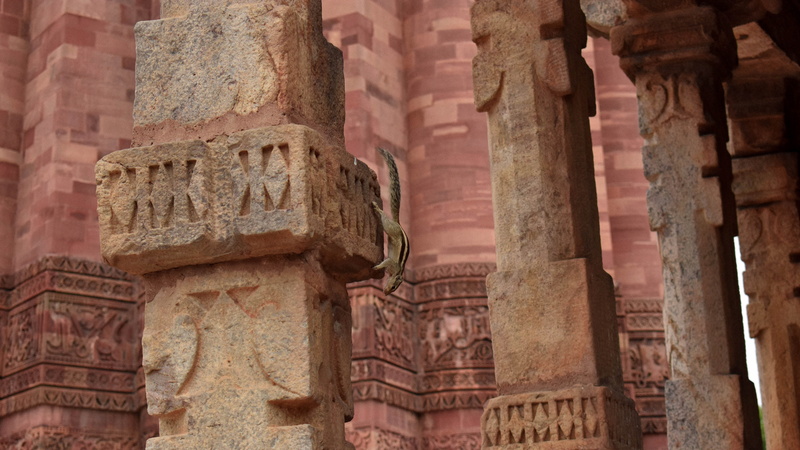 background, ruined, outdoors, art, travel, travel destinations, built structure, afternoon, monument, the past, old ruin, architectural column, squirrel