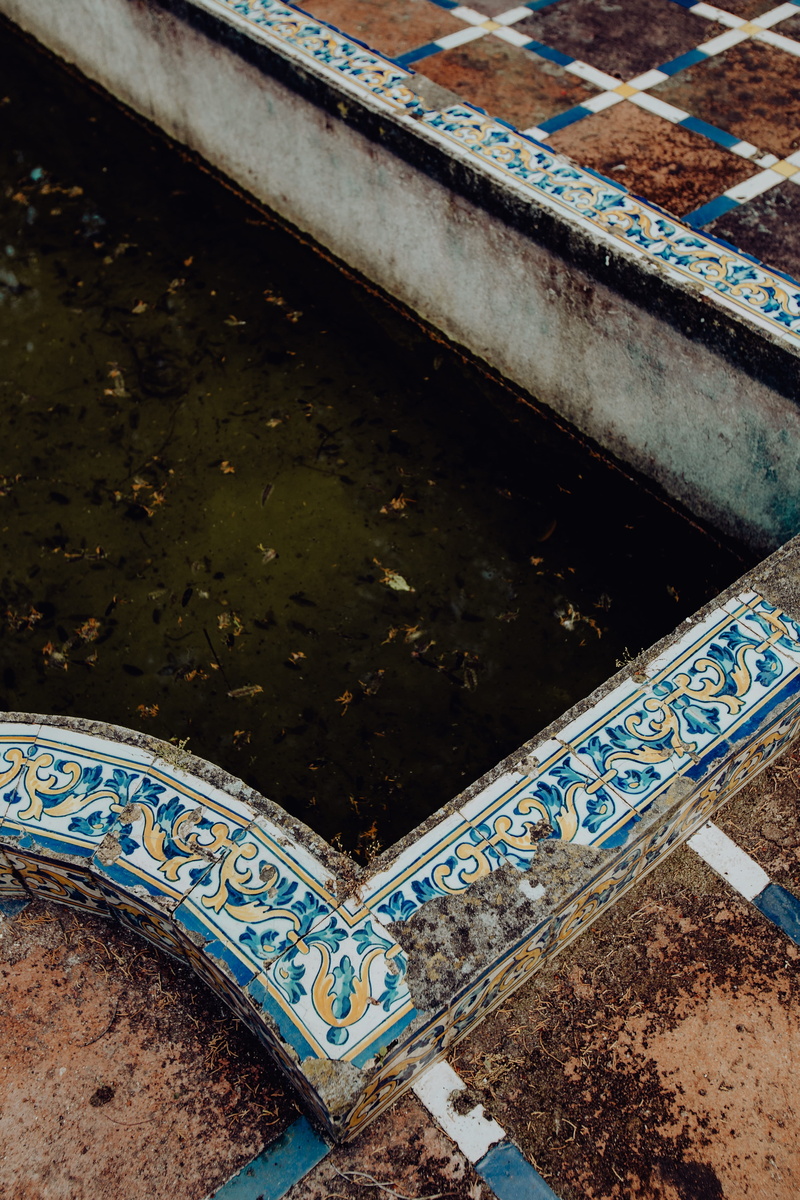 creativity, botanical, built structure, pattern, tropical, rusty, reflection, park, no people, botany, portugal, garden, water, trees, graffiti, outdoors