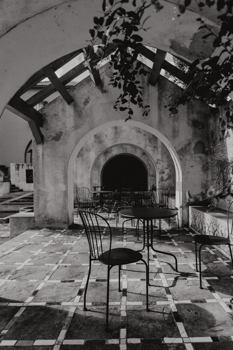 absence, chair, botanical, lisbon, nature, religion, 5K, ceiling, architecture, indoors, arched, arch, botany, belief, trees, portugal, day, Europe, place of worship