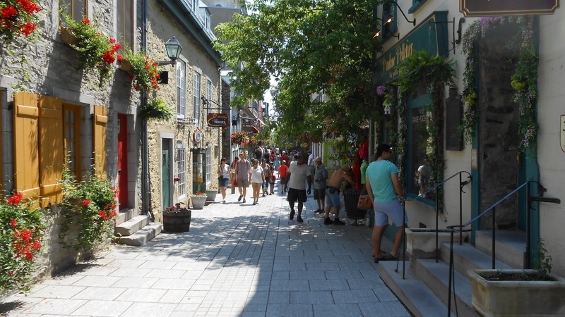 shops, the way forward, plant, outdoors, day, urban, built structure, women, shopping, real people, people, nature, walking, 4K, stores, buildings, building