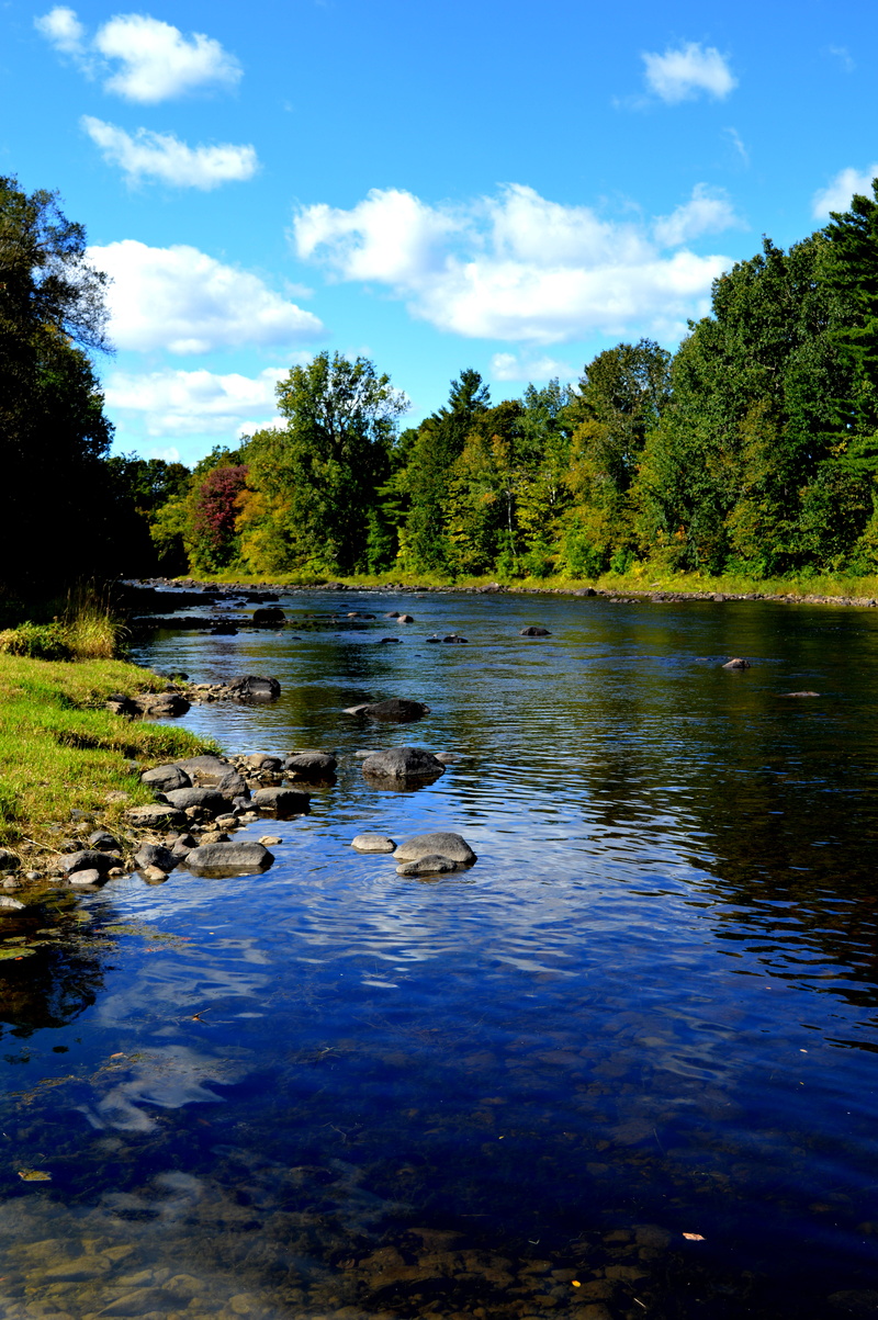 lanaudiere, forest, canada, tree, beauty in nature, day, non-urban scene, sky, waterfront, tranquil scene, lake, plant, quebec, 5K, fall, crabtree, green color
