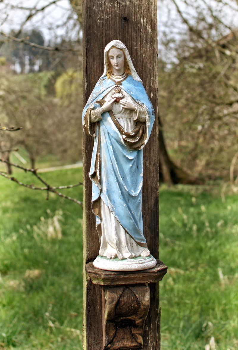 christian, religion, focus on foreground, mary, plant, Madonna, trunk, Mother Of God, male likeness, outdoors, craft, virgin mary, woman, 2K, art, creativity