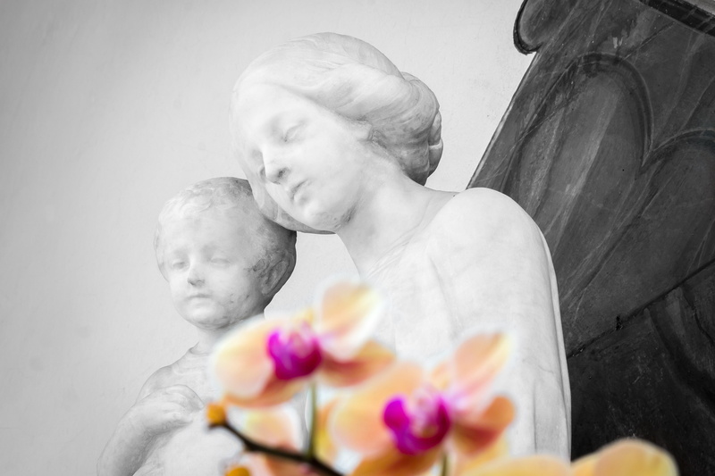 women, females, indoors, Flower, figure, Orchid, christianity, holding, girls, catholic, looking, faith, young, adult, childhood, pray, flowering plant