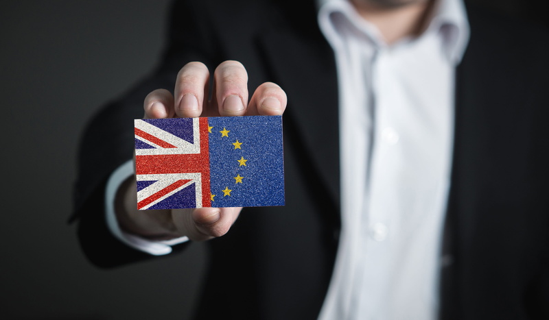 flag, brexit, communication, patriotism, midsection, close-up, politics, human hand, pride, britain, holding, european, front view, standing, one person