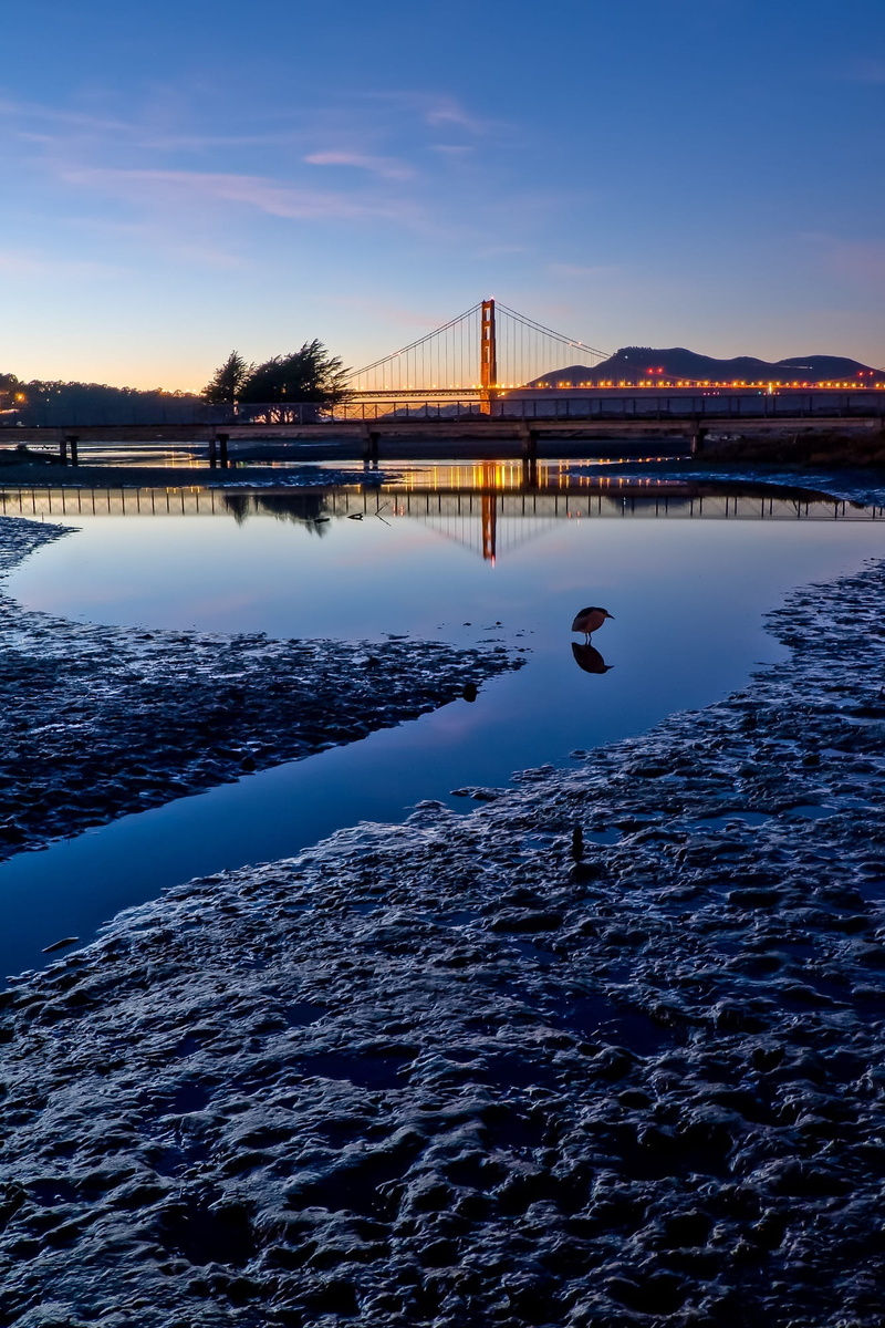 serene, building exterior, san francisco, bridge, Golden Gate Bridge, nature, built structure, scenic, river, golden gate national recreation, waterfront