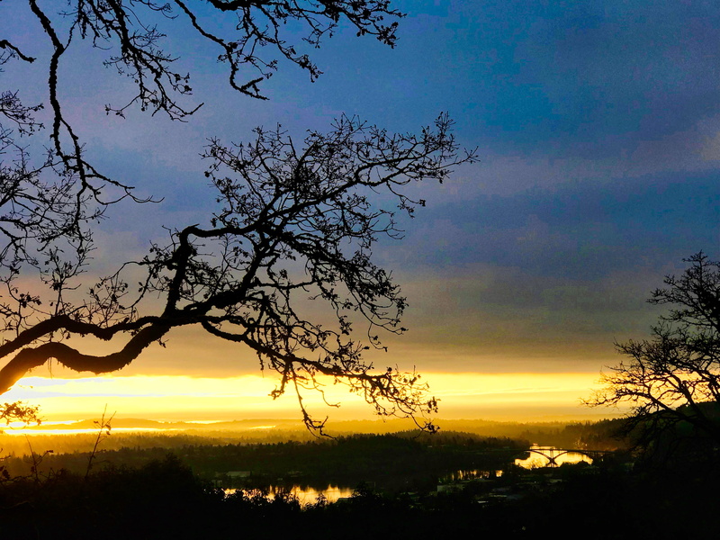 environment, landscape, romantic sky, no people, dramatic sky, nature, non-urban scene, scenics - nature, tree, beauty in nature, tranquility, idyllic