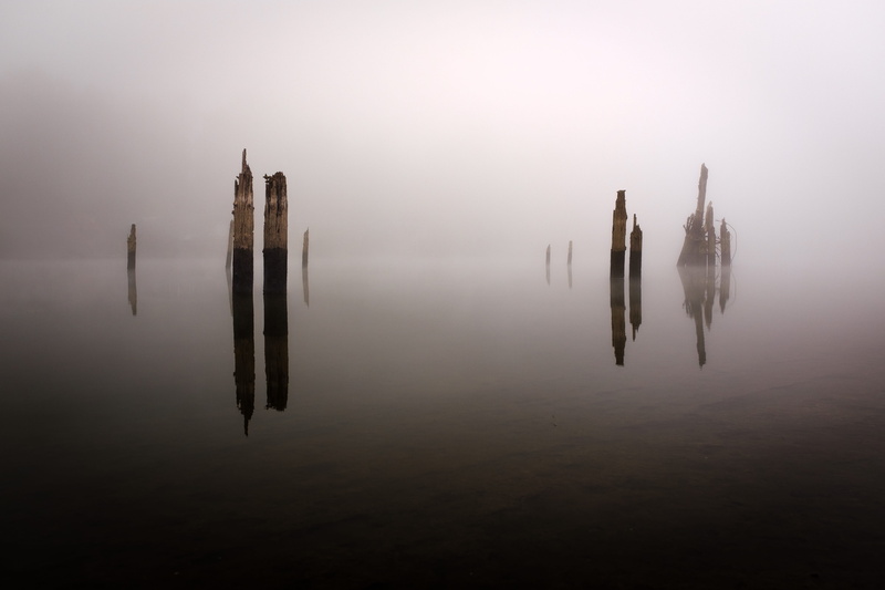 long exposure, mist, no people, fall, non-urban scene, beauty in nature, tree, 5K, tranquil scene, eerie, nature, eery, panoramic, waterfront