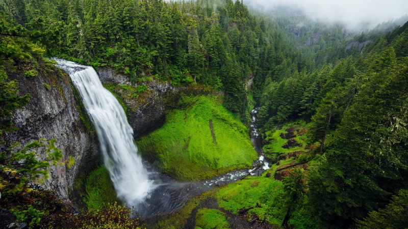 cascade, nature, united states, willamette national forest, body of water, forest, salt creek, oakridge, 1080P, waterfall, usa, salt creek falls, oregon