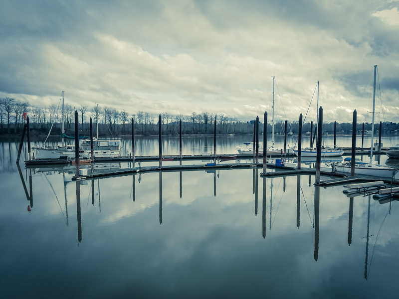 water, outdoors, beauty in nature, no people, willamette river greenway trail, relaxing, pole, blue, wooden post, marina, oregon, trees, portland, nautical vessel