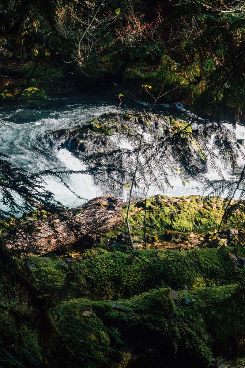 creek, no people, day, willamette national forest, long exposure, green, river, flowing, land, scenics - nature, solid, rock - object, trees, flowing water