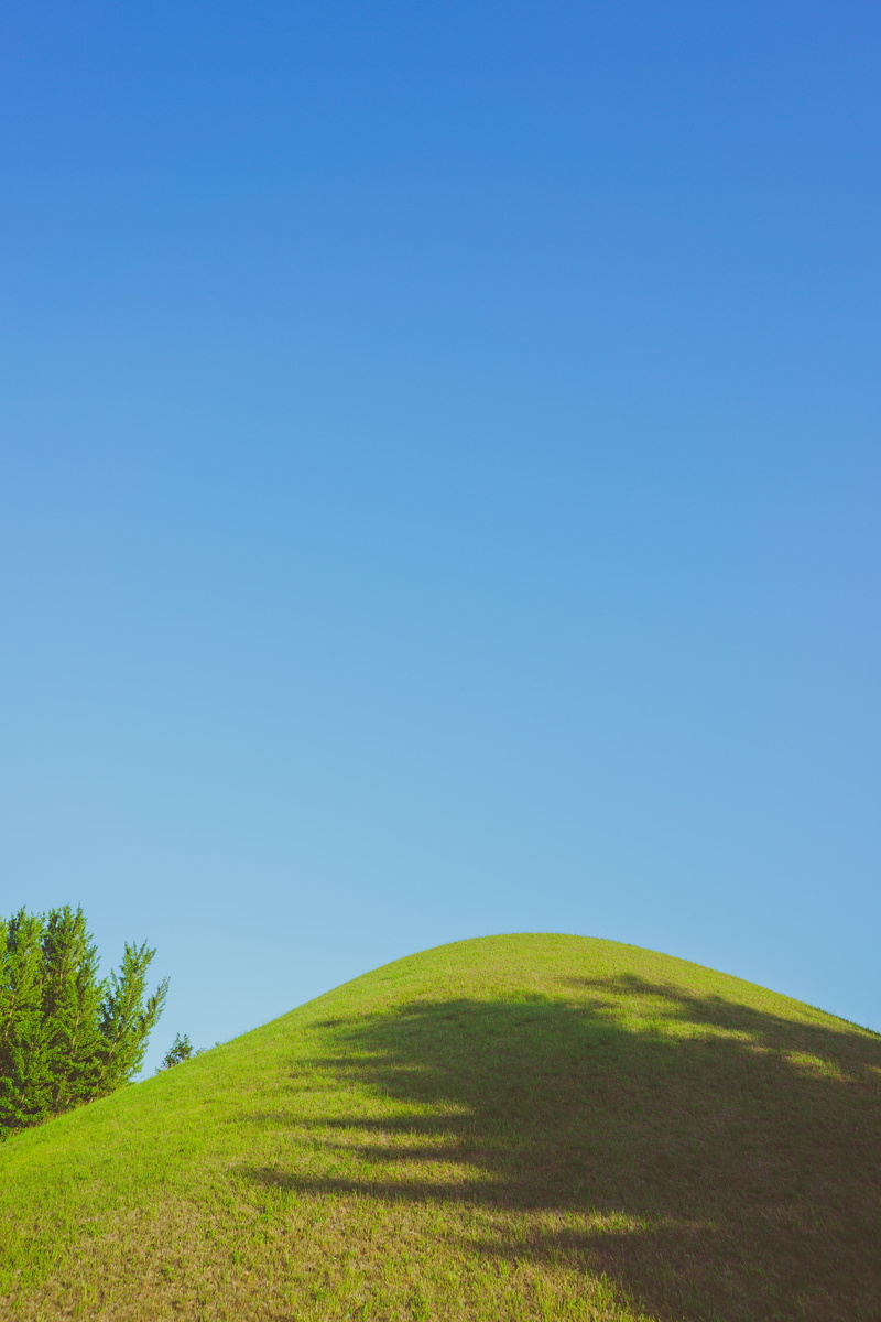 gyeongju, plant, outdoors, 5K, clear sky, korea, daereungwon, nature, grass, environment, no people, blue, rolling landscape, field, day, sky, landscape